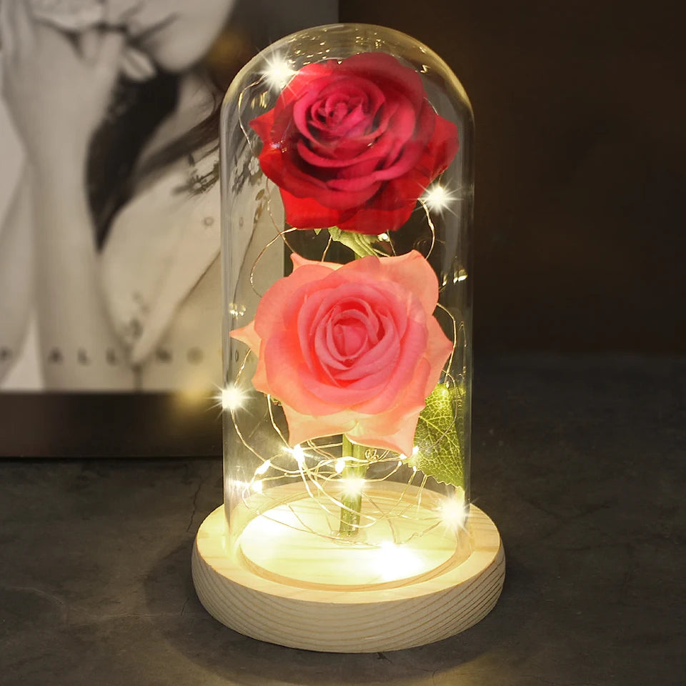 Double Rose Éternelle Prestige