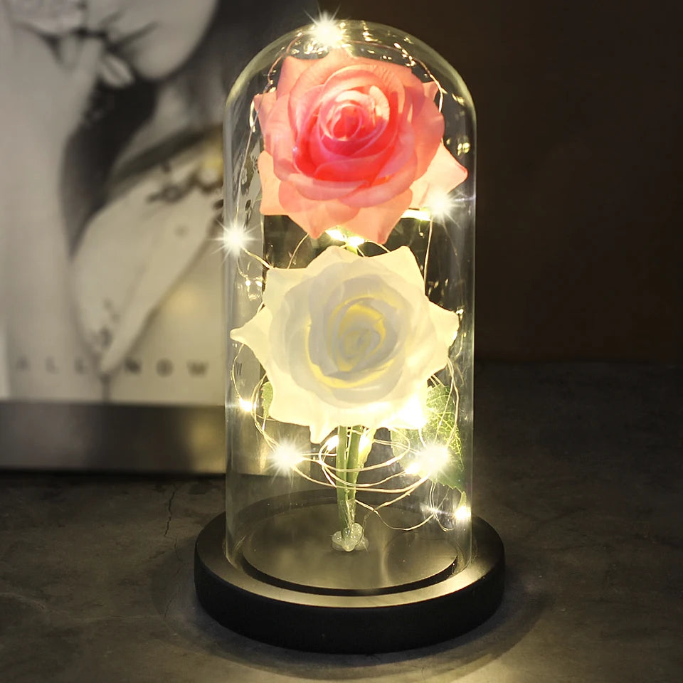 Double Rose Éternelle Prestige